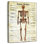 Keiri Human Skeleton Chart