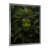 Silver Single Picture Framed