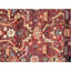 Oriental Area Rug