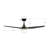 Alasdhair 56'' Ceiling Fan with LED Lights