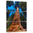 Alvord Towering Sequoia Tree-108563230
