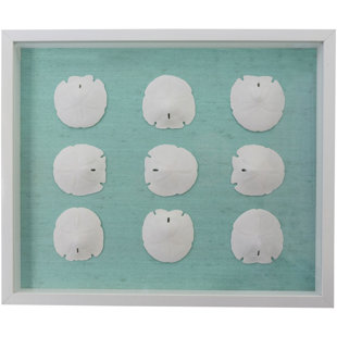 Sand Dollars - boîte à ombre, impression sur tissu