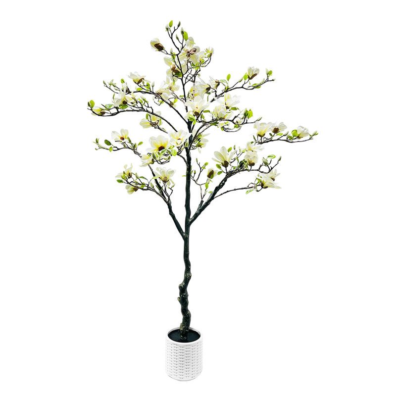 24.5cm Plant