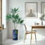 66 plantes-97701027