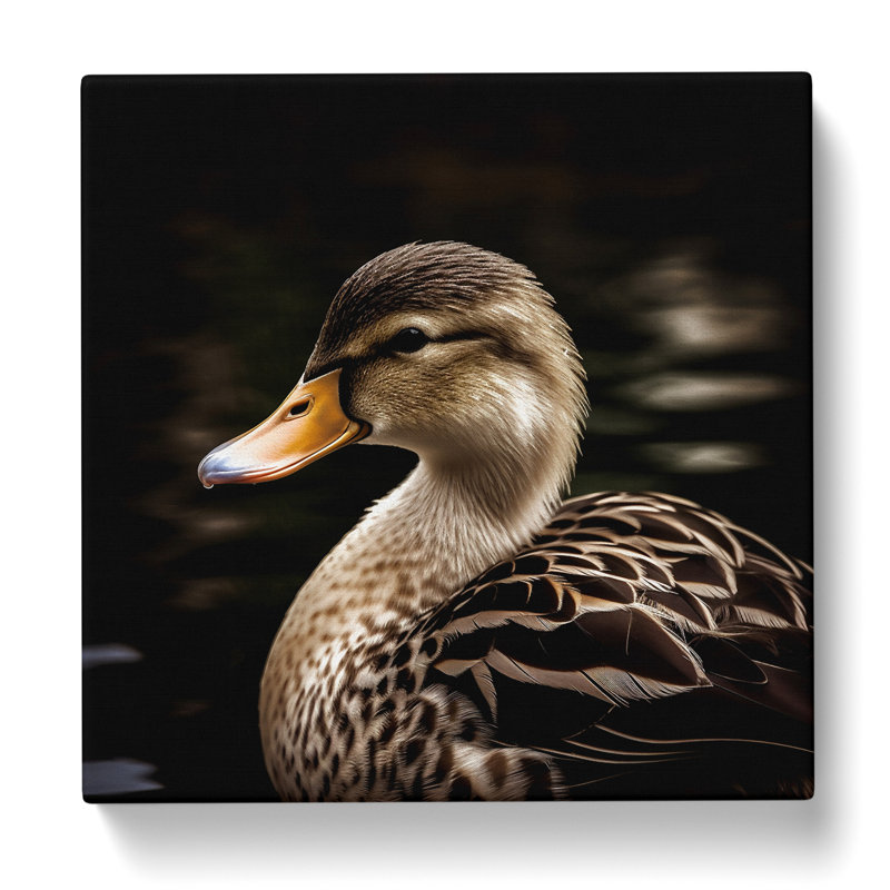 Duck Photograph - Print, 35cm H x 35cm W x 3cm D
