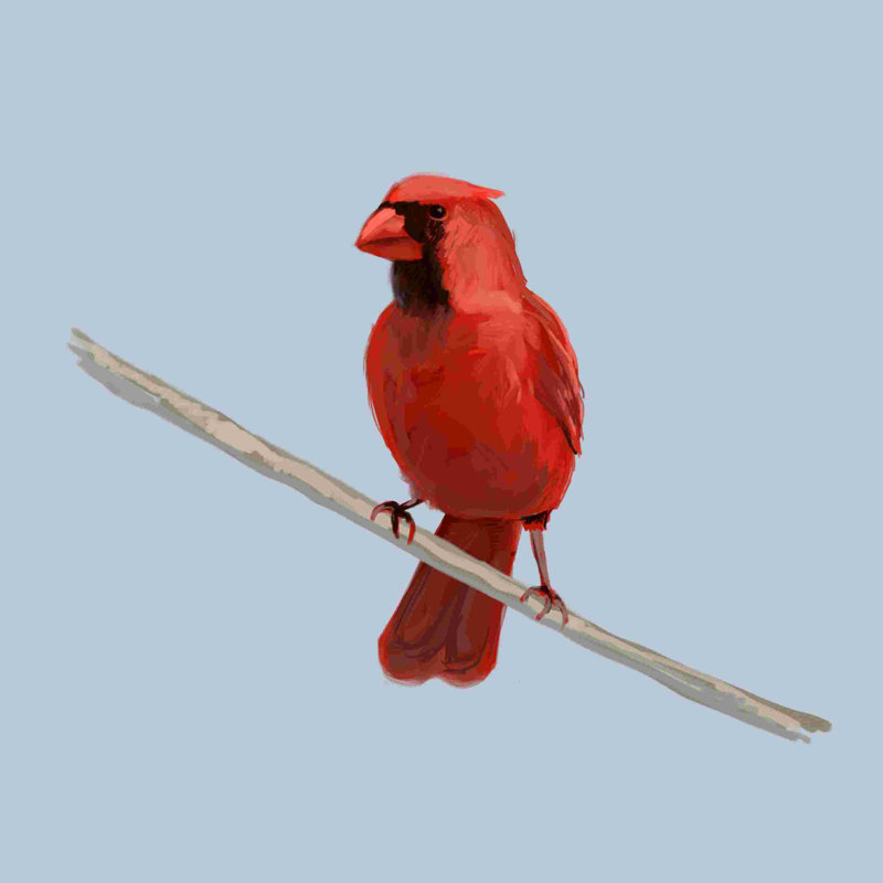 Cardinal rouge sur bleu, H 12 po x l 12 po