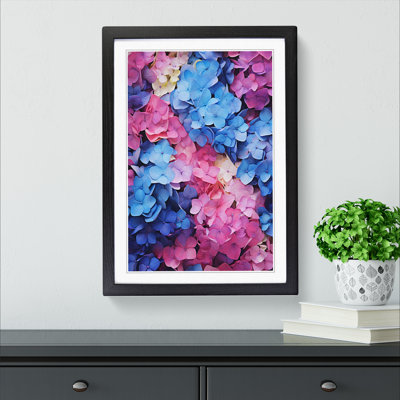 Hydrangea Colour Field - Framed Print