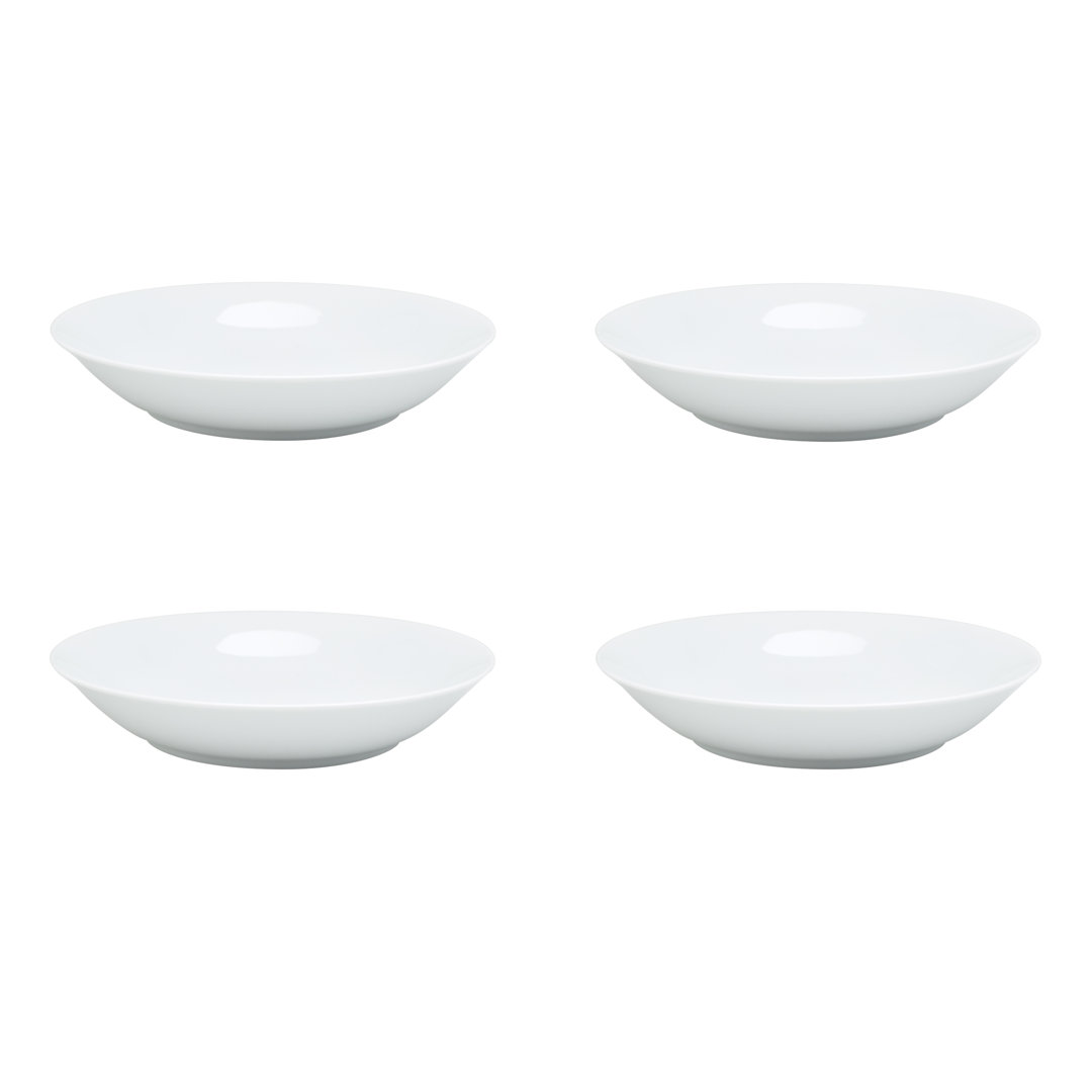 4 Piece Arctic Pasta Bowl Set