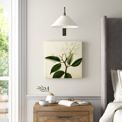 Garden Bounty VI - Wrapped Canvas Print