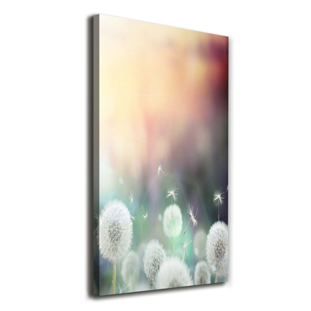 Pusteblumen - Kunstdrucke auf Leinwand - Wrapped Canvas