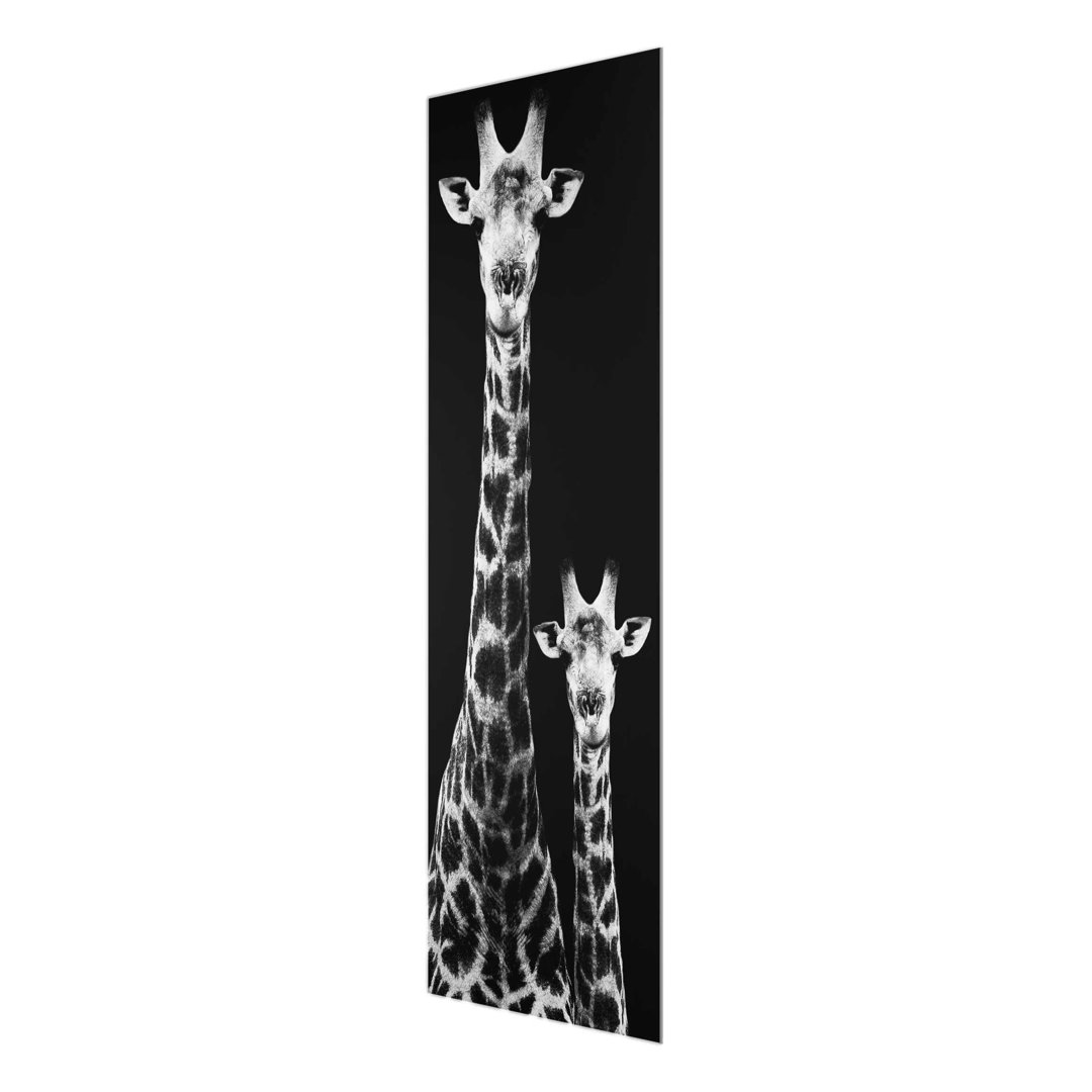 Glasbild Giraffe Duo