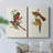 ElegantTrogonsI-Premium Gallery Wrapped Canvas -Ready to Hang-108946521