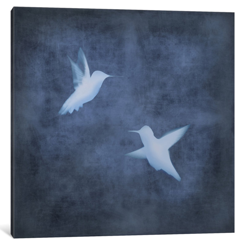 «Flight II», reproduction d'art sur toile, H 37 po x l 37 po x P 1,5 po, Toile tendue, Pas de tapis