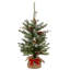 L'épinette Snowy Morgan de 2 pi avec lumières à piles The Holiday Aisle®