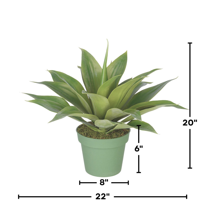 Plante grasse artificielle en pot, H 20 po x l 22 po x P 22 po