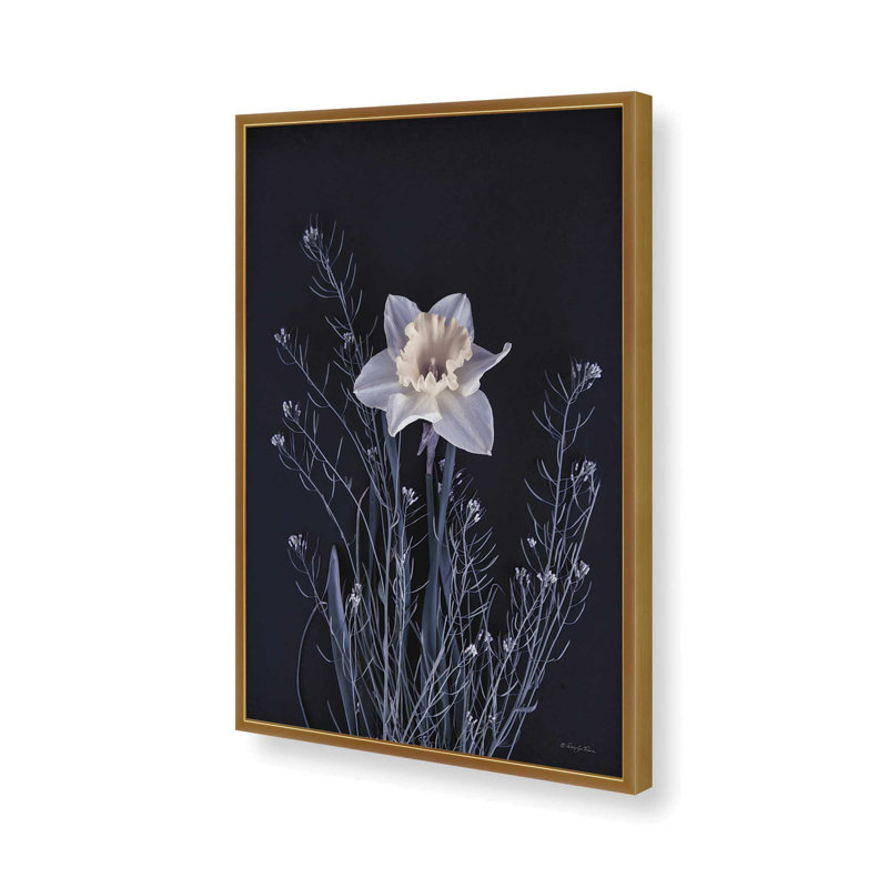 «Spring Gathering IV» par Robin-Lee Vieira, reproduction d'art, 20 W x 30 H, Gold, Framed Print