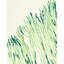Plants XI Print by Hable Construction-26774313-26774308