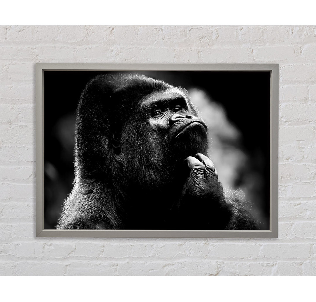 Nachdenklicher Gorilla B N W - Einzelner Bilderrahmen Kunstdrucke auf Leinwand