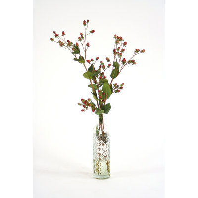 Hypericum Berries Arrangement