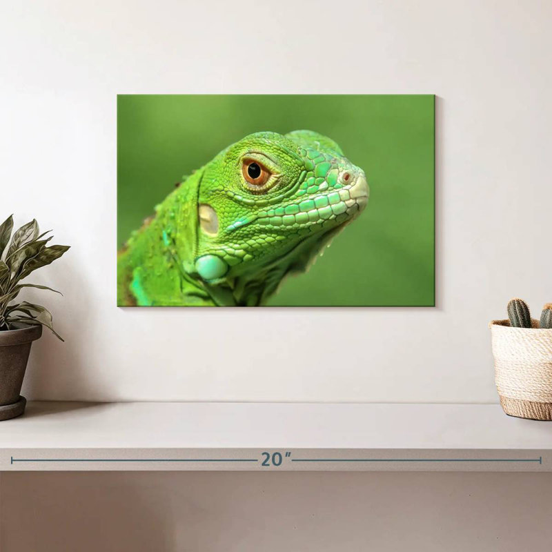 Green Lizard Closeup, 8" H x 12" W