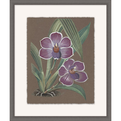 Orchid Study 7 Painting