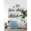 Reproduction «Succulents sains» sur toile tendue-229740246