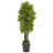 6ft. Bamboo Artificial Tree with Black Trunks in Planter UV Resistant (Indoor/Outdoor)