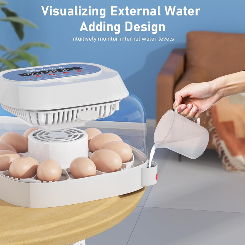12 Egg Incubator with Automatic Egg Turning and Humidity Display, 4 Modes Incubators for Hatching Eggs with Bulit-in Candler, 360° View Clear Window, for Chicken, White, 11.2x11.2x7.6 inch