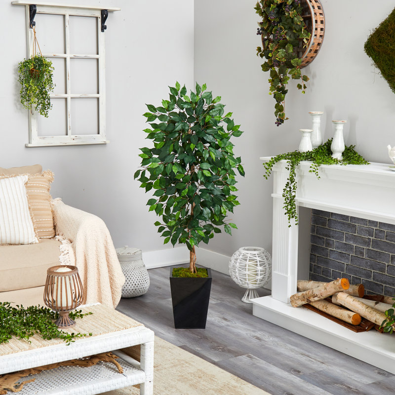 Arbre ficus artificiel en pot, H 60 po x l 21 po x P 19 po, Noir