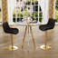 Ensemble de salle à manger 3 pièces à hauteur réglable avec tabouret de bar et tabouret de bar (ensemble de 3)-1116165172-1116165175