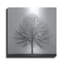  «Winter Trio I» par Nicholas Bell, photographie, art mural en métal, 24 po x 24 po-1194513952