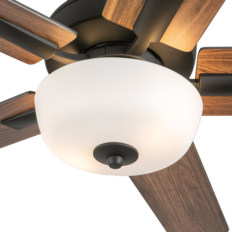 Erikson LED Ceiling Fan, Matte Black, Black
