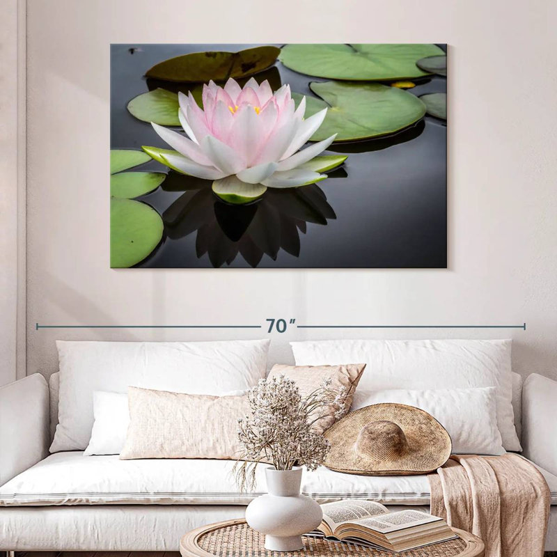 Lotus blanc rosé Harnek, H 32 po x l 48 po