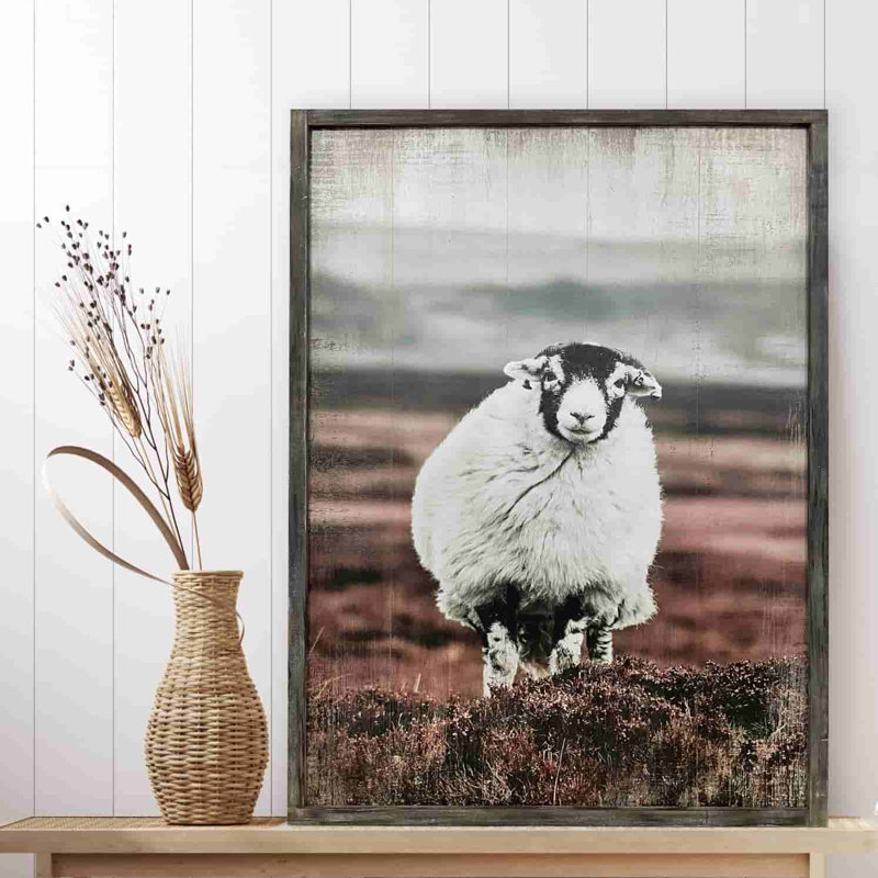 Graceful Standing Sheep On Canvas Print, H 24 po x l 36 po x P 1,5 po