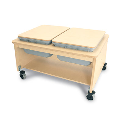 Sand & Water Table