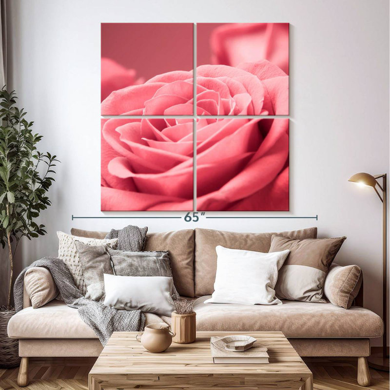Macro rose Harnek
