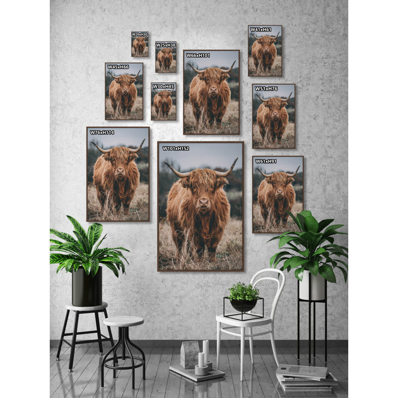 Hairy Coos - Print, Floater Brown Framed Canvas, 45cm H x 45cm W x 3.81cm D