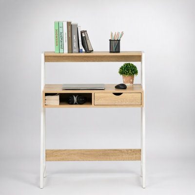 Modern-Style Writing Desk with Ample Storage, Combining Functionality and Aesthetics for Home or Office Use