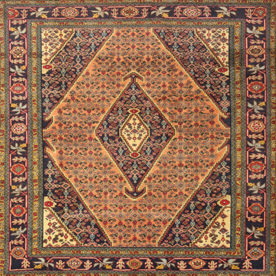 Oriental Indoor Rug