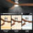 Geddies 52" Smart Ceiling Fan with Light
