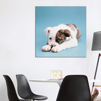 Shadow 1 Piece Wall Art on Canvas