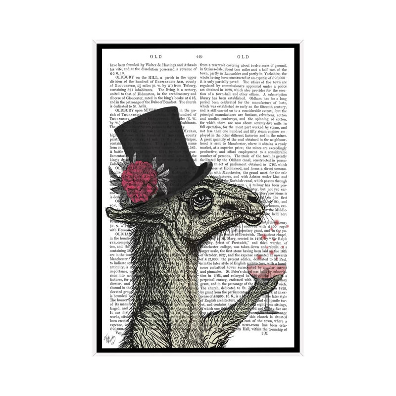 «Llama Lush I» par Fab Funky - impression d'art graphique, H 26 po x l 18 po x 1,5 po, Toile blanche encadrée, Aucun mat