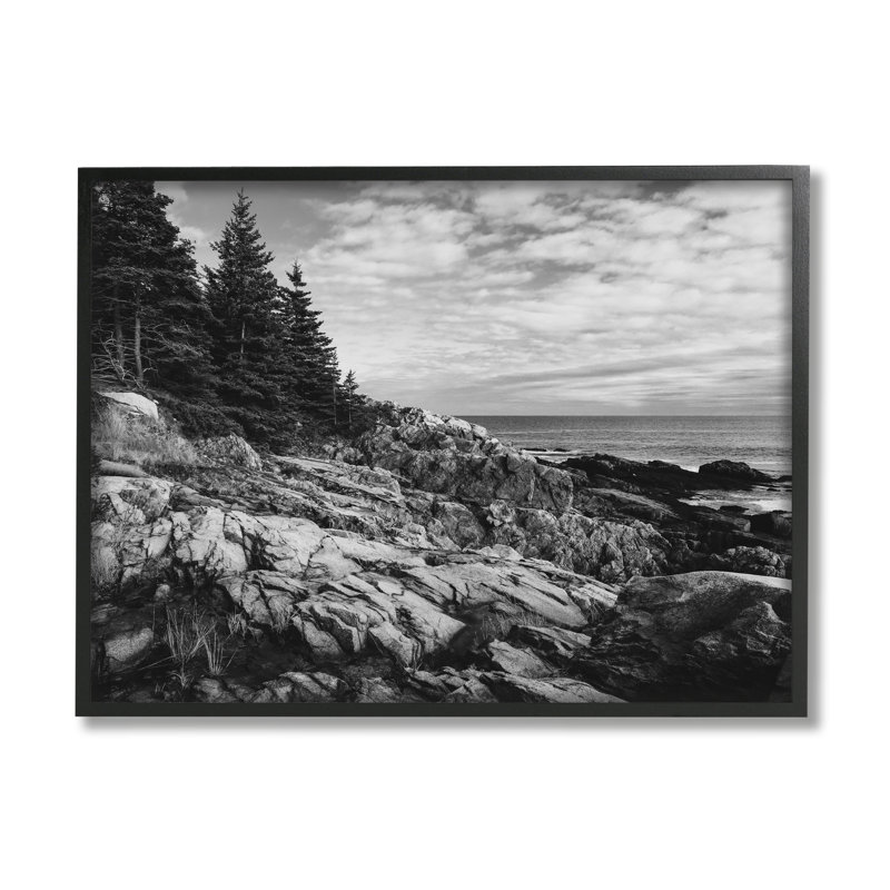 Océan rocheux, côte nuageuse, monochrome, nature, L 11 po x H 14 po, Giclée encadrée noir minuit