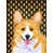Corgi (beige et blanc) sélectionné