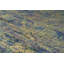 Silk Area Rug in Blue