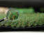 Bridgete 30mm Pet-Friendly Artificial Grass, Plush Fake Grass-8m(26'3") X 2m(6'6")-16m²