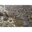 One-of-a-Kind 8'1" X 10'2" Area Rug