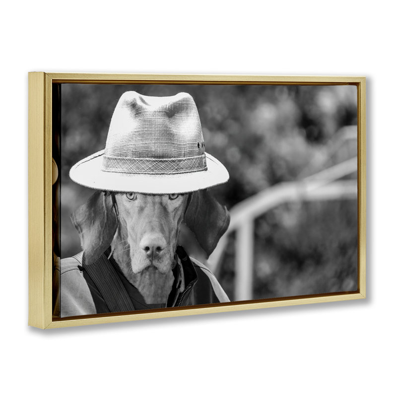 «Country Cowboy Dog» par SD graphiques Studio, Cadre flottant métallique doré, H 17 po x l 25 po