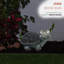Statue de tortue solaire Balboa