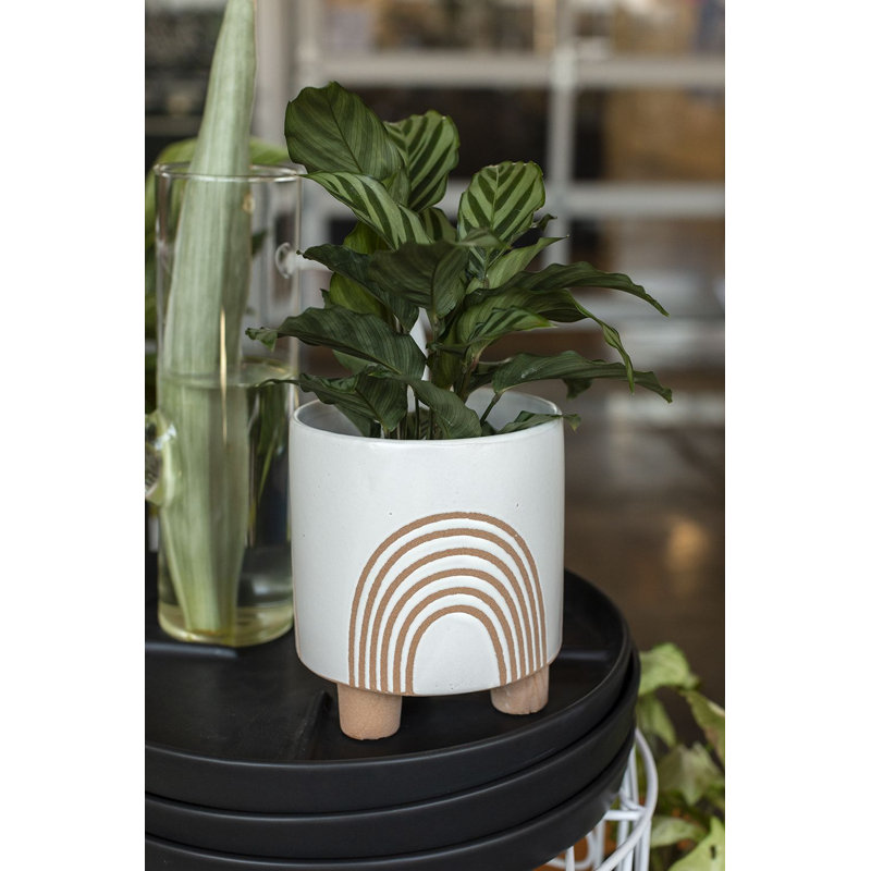 Josiana Handmade Ceramic Pot Planter, 7.5" H x 6.75" W x 6.75" D, Black